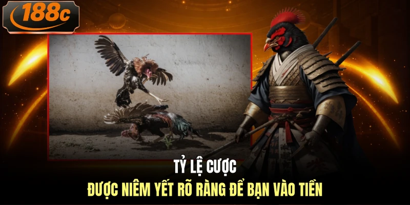 Tỷ lệ cược được niêm yết rõ ràng để bạn vào tiền